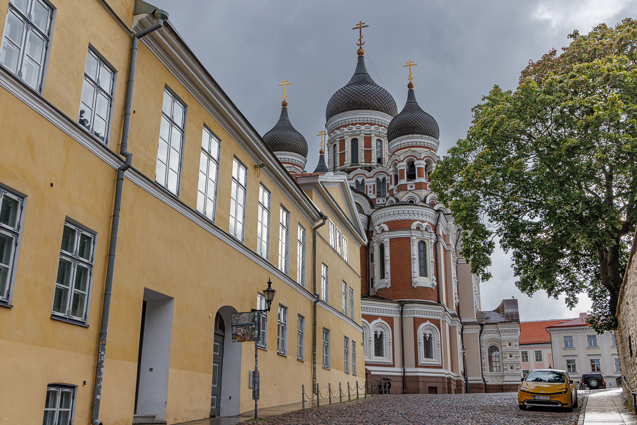 Die Newski-Kathedrale wurde zwischen 1894/1895 und 1900 als russisch-orthodoxe Kathedrale von Michail Preobraschenski in dem damaligen Gouvernement Estland des Russischen Kaiserreiches erbaut. Am Standort auf dem Domberg war urspr&uuml;nglich ein Lutherdenkmal vorgesehen, dessen Errichtung von den russischen Beh&ouml;rden jedoch untersagt wurde. Die Konsekration der Kathedrale fand am 30. April 1900 statt. Der Bau kostete knapp 600.000 Rubel, es wurden ca. 430.000 gespendet und 150.000 Rubel vom Staat gezahlt. 