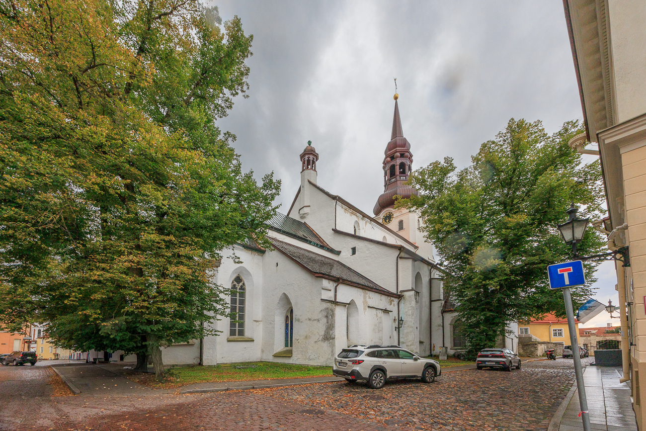 Der Dom zu Tallinn (estnisch Tallinna toomkirik), offiziell die Bisch&ouml;fliche Domkirche der Heiligen Jungfrau Maria zu Tallinn (estnisch Tallinna P&uuml;ha Neitsi Maarja Piiskoplik Toomkirik), ist eines der Wahrzeichen der estnischen Hauptstadt. Er ist der Jungfrau Maria geweiht und befindet sich auf dem Domberg in Tallinn. Mit dem Abschluss der Reformation in Estland 1561 wurde er zur lutherischen Domkirche. Er ist heute die Bischofskirche des Erzbischofs der Estnischen Evangelisch-Lutherischen Kirche. 