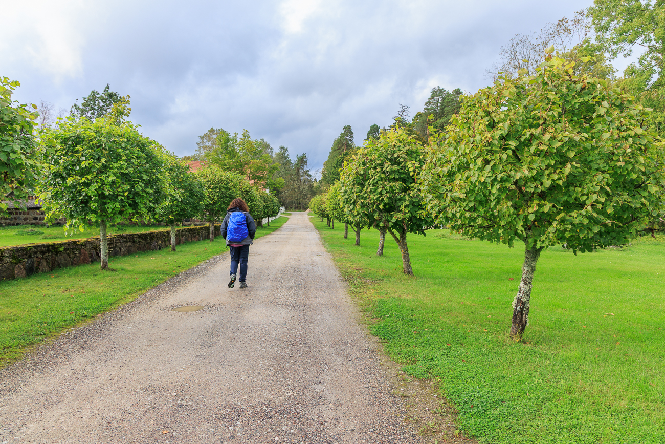 Sch&ouml;n angelegte Wege f&uuml;hren durch den Gutshof
