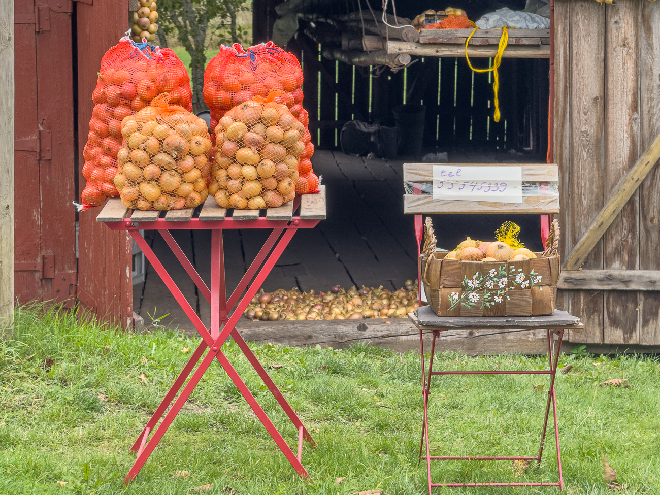Ab ca. Kallaste beginnt die Zwiebelstra&szlig;e