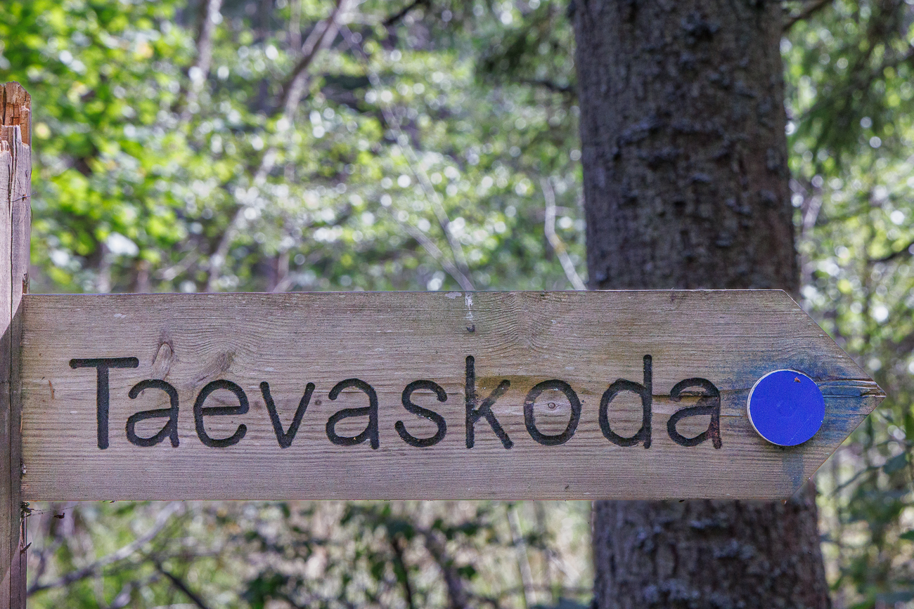 Kennzeichnung des Wanderwegs Taevaskoda