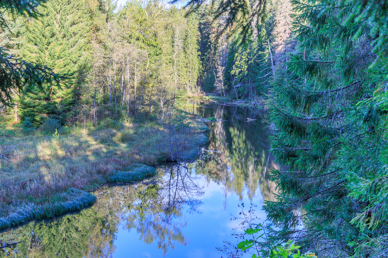 Ausblick auf den Ahja J&otilde;gi
