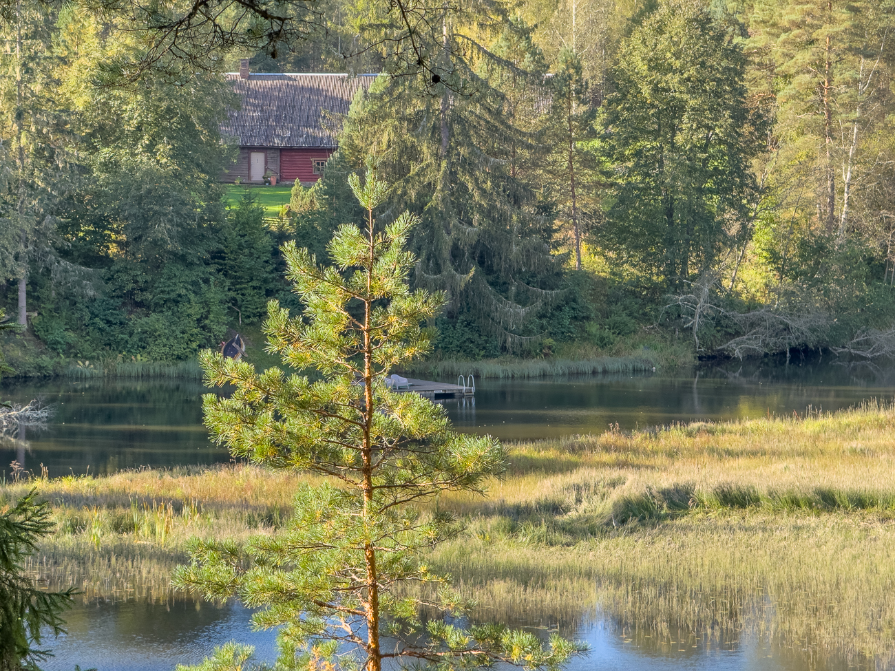 Sch&ouml;n gelegene H&uuml;tte mit Bootssteg