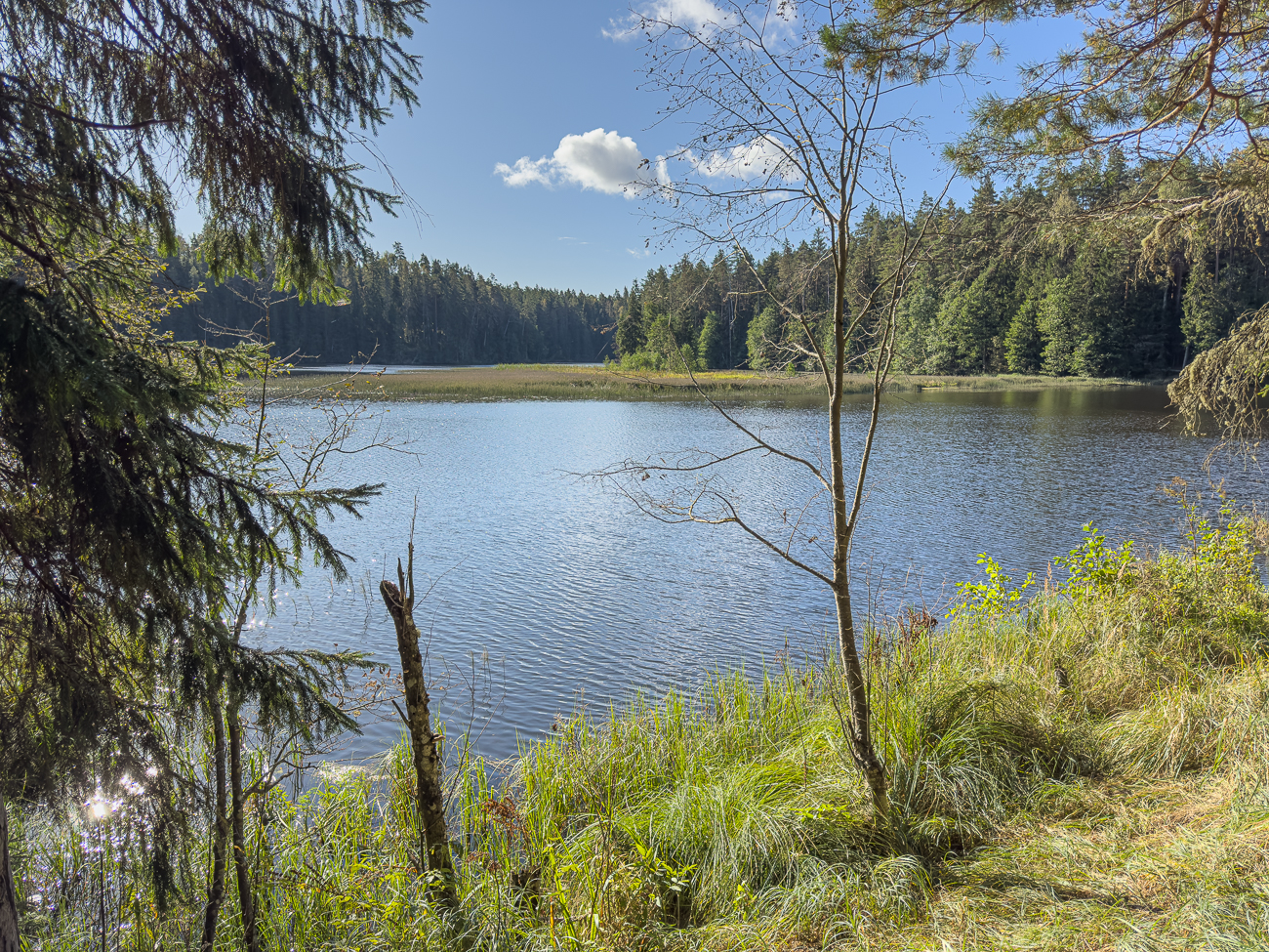 Hier hat der Ahja J&otilde;gi einen See gebildet