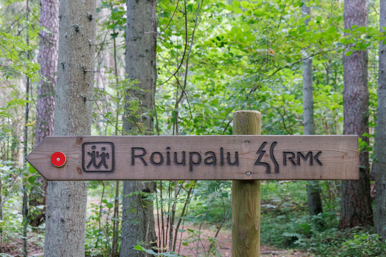 Kennzeichnung des Wanderwegs Roiupalu