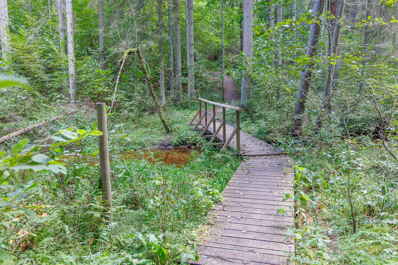 Br&uuml;cke &uuml;ber den Bach Hatiku Oja
