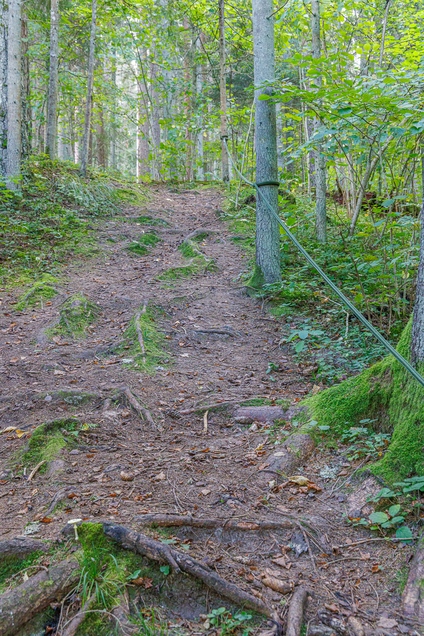 Ein Seil als Steighilfe an dem steilen, rutschigen Pfad