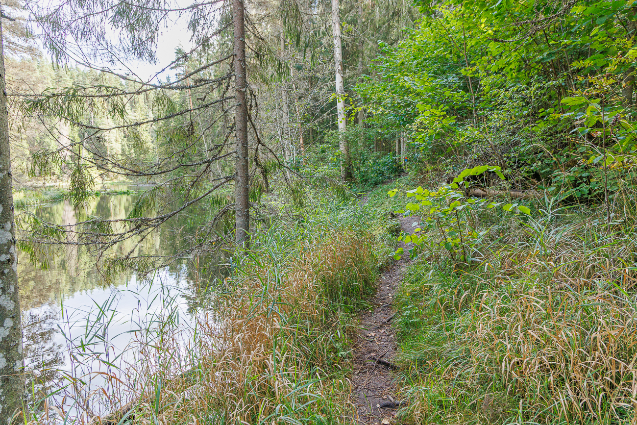 Schmaler Pfad am Ufer