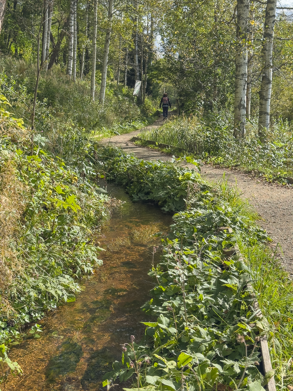 Wanderweg am Rõuge Jõgi (Rõuge Bach)