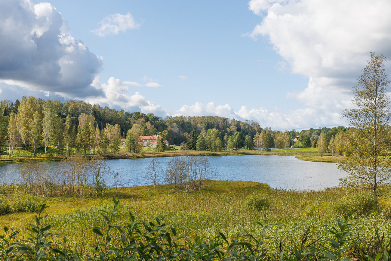 Näher dran am Liinjärv