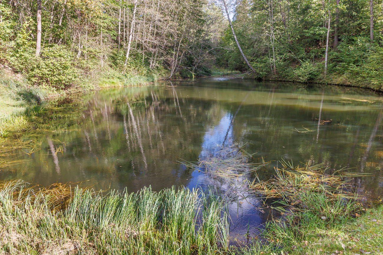Teich im Nachtigallental