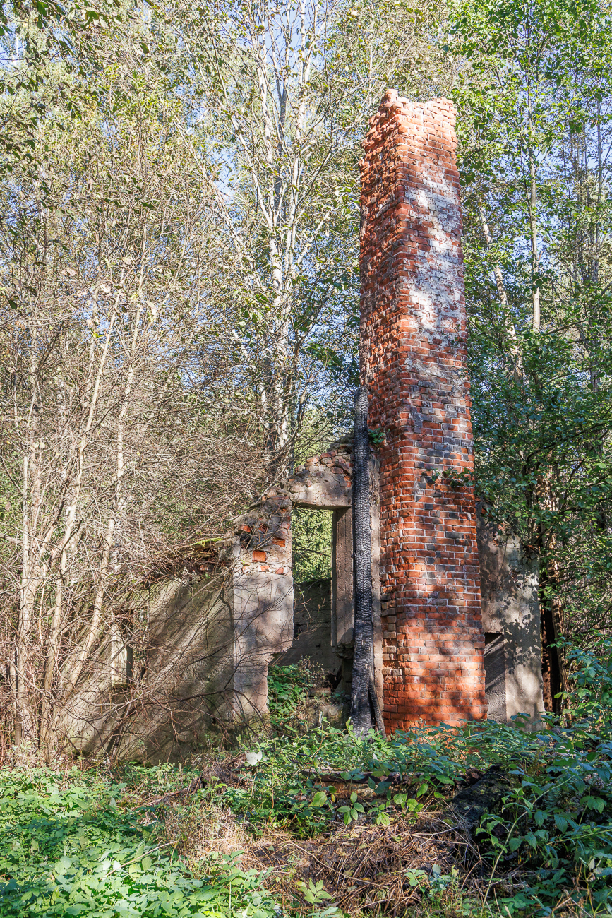 Lost Place im Wald