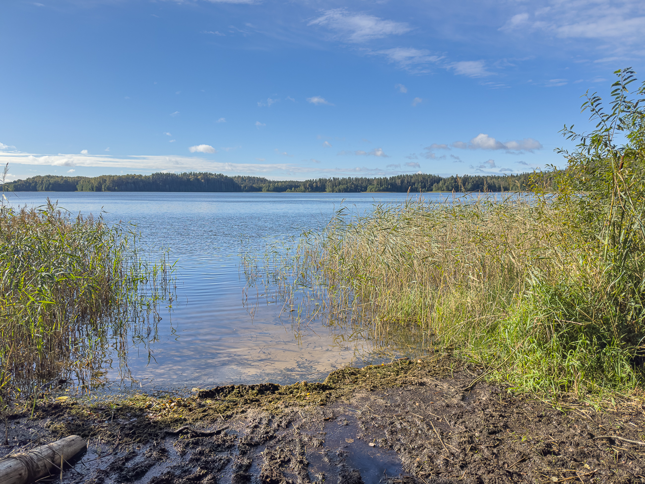 Zugang zum See