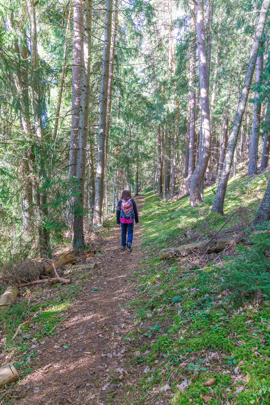 Aufstieg in den Wald