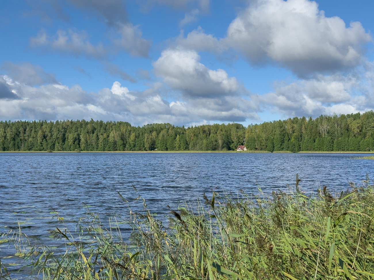 Zurück am Ähijärv