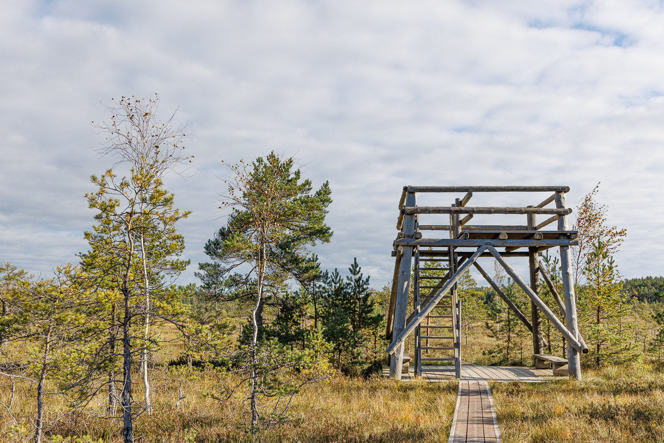 Aussichtsturm
