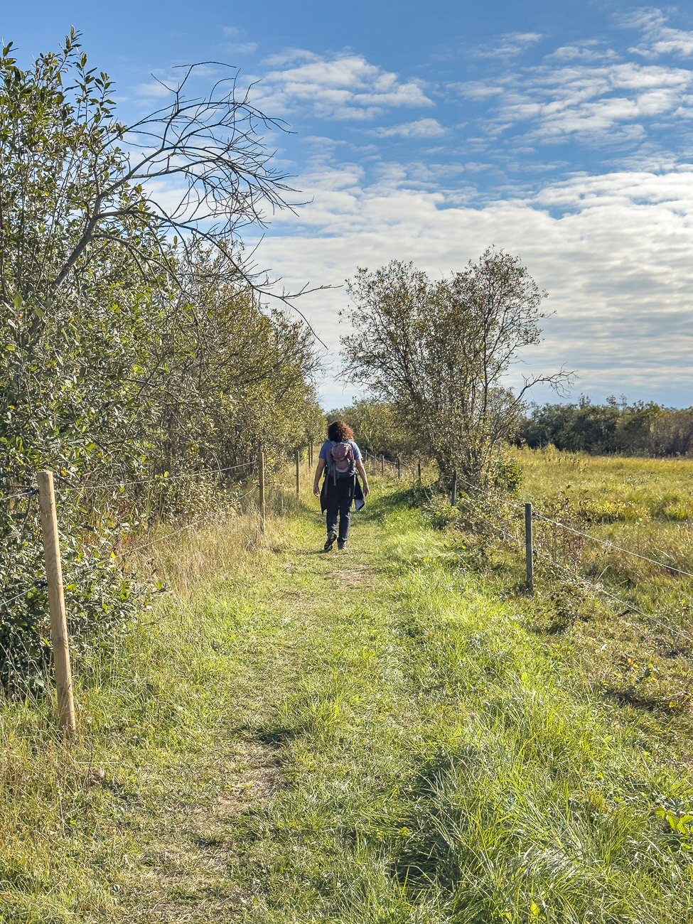 Auf dem Weidenweg