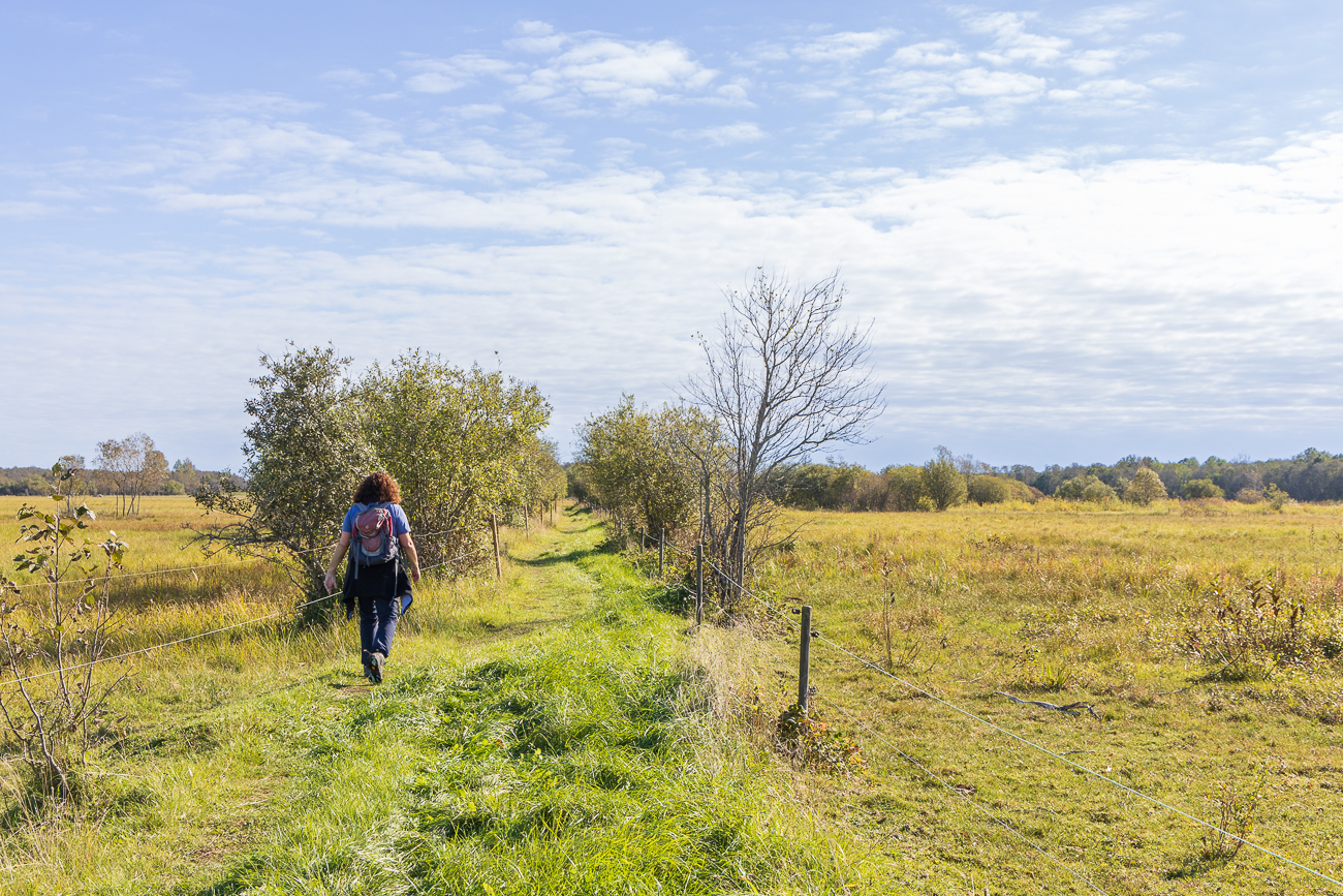 Auf dem Weidenweg