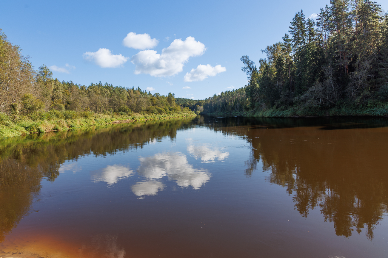Am Ufer der Gauja