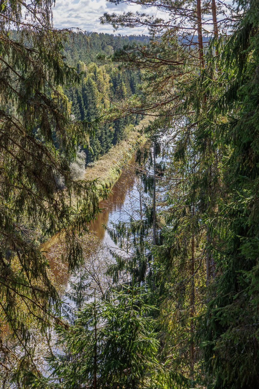 Blick auf die Gauja