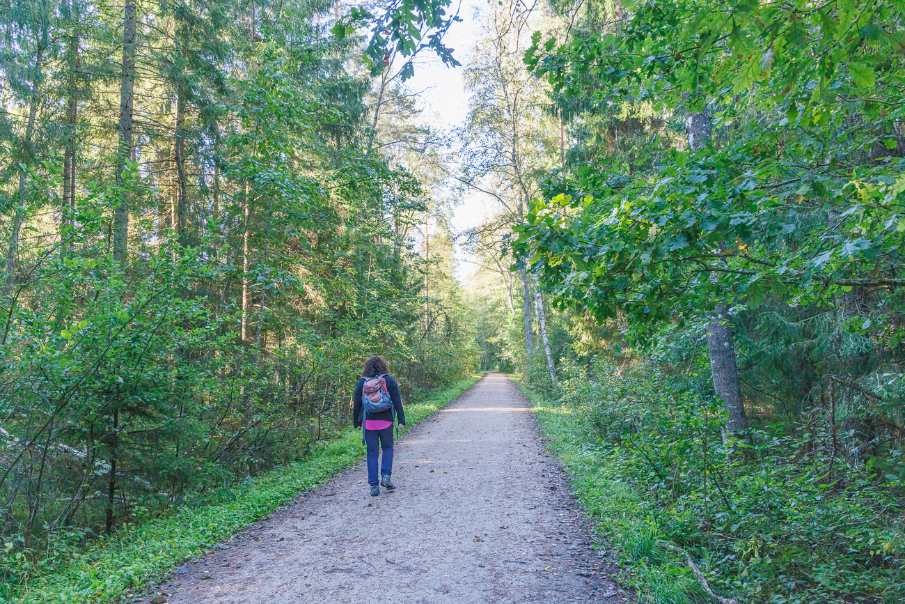Vom Parkplatz aus geht es zun&auml;chst ein St&uuml;ck durch den Wald