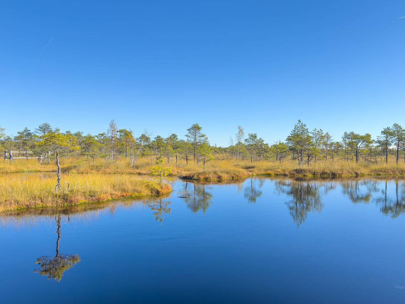 Moorlandschaft im Kemeru Nationalpark