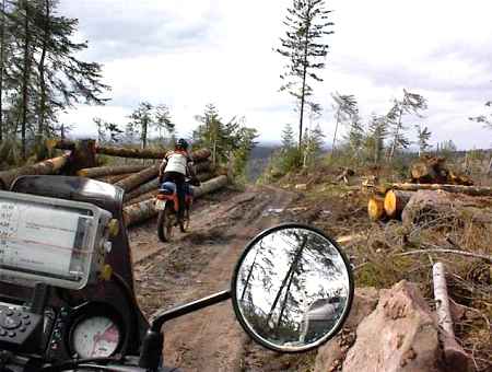 Brigitte auf einem Waldweg
