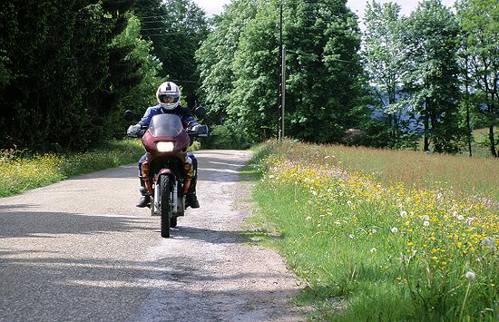 Im Mai blühen die Wiesenblumen