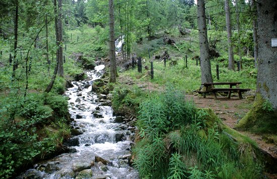 Grund für das saftige Grün überall ist das Wasser