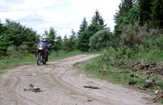 Manche Waldwege dürfen noch befahren werden