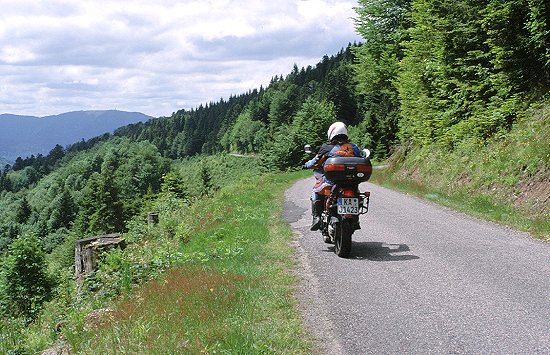 Eine der zahlreichen Waldsträßchen