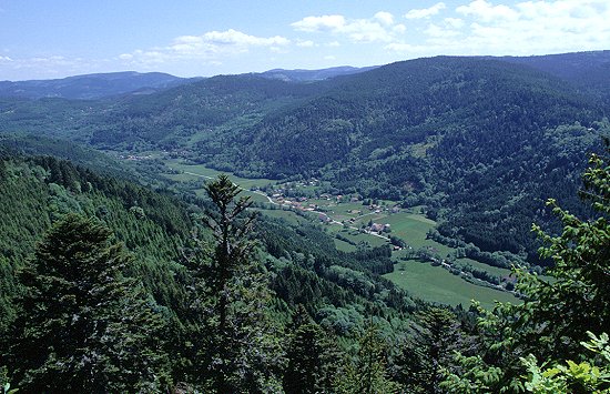 Blick ins Tal der Meurthe