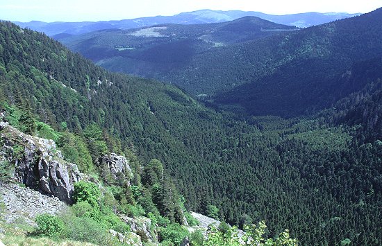 Blick in die Schlucht des "Col de la Schlucht"