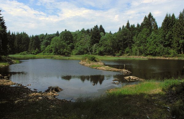 Die Gegend heißt nicht umsonst "Land der tausend Seen"