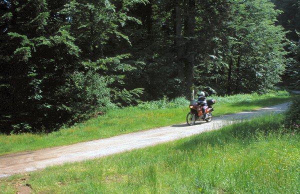 In den Vogesen gibt es noch einige, meist asphaltierte, Waldsträßchen