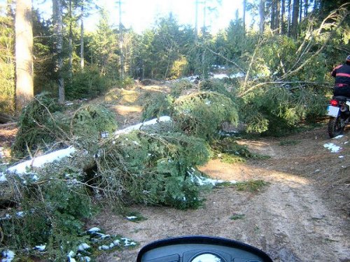 Windbruch auf den Waldwegen