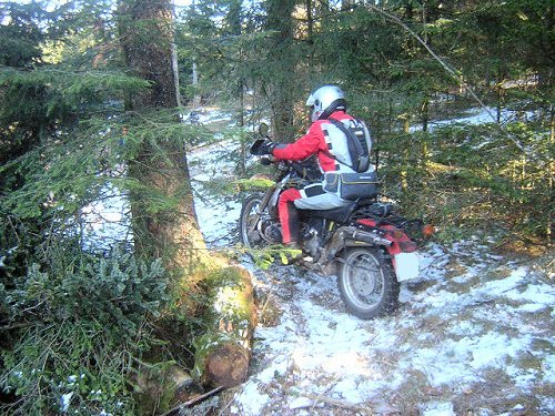 ... lässt sich durch ein wenig Schnee nicht aufhalten