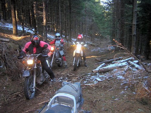 Weiter geht es auf dem "Holzweg"