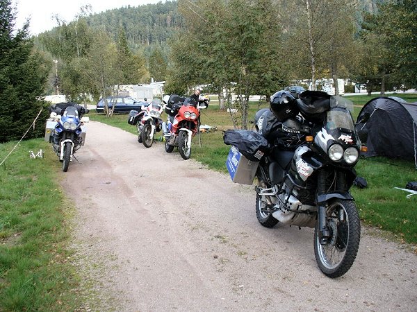 Die treuen "Pferdchen"