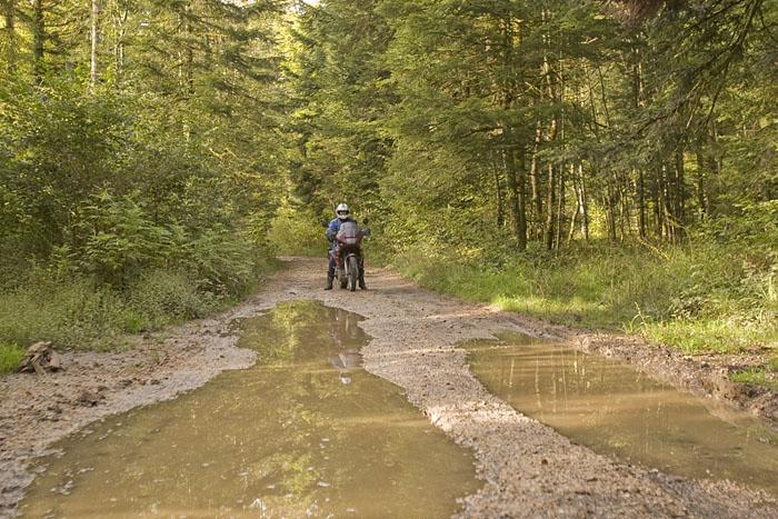 Manchmal waren die Wege etwas feucht