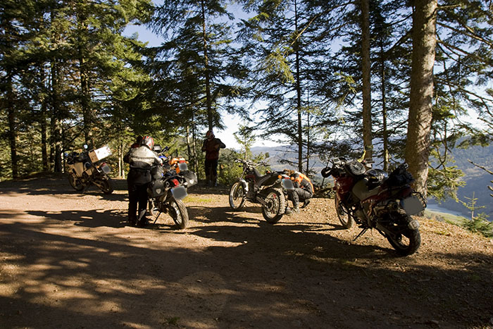 Rast im Wald