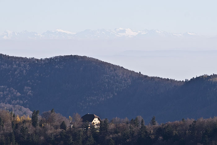 Blick auf die Alpen I