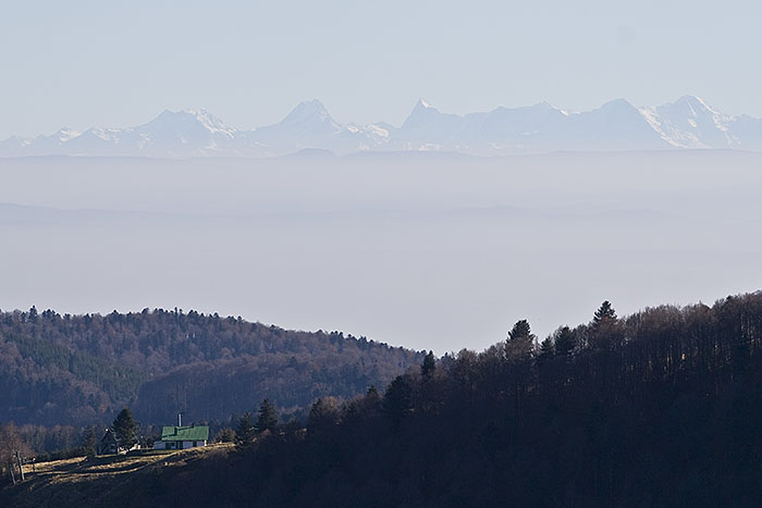 Blick auf die Alpen II