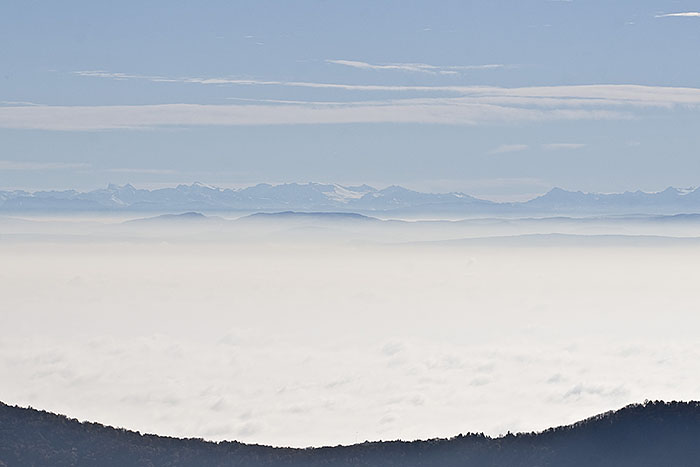 Blick auf die Alpen III