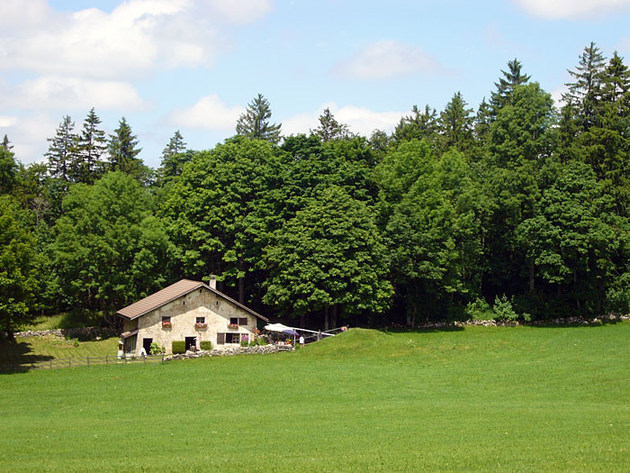 Schönes Häuschen in der Schweiz