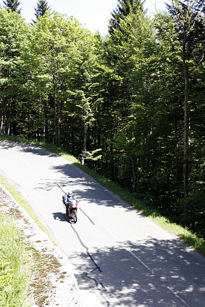 Auf dem Weg nach Wildenstein