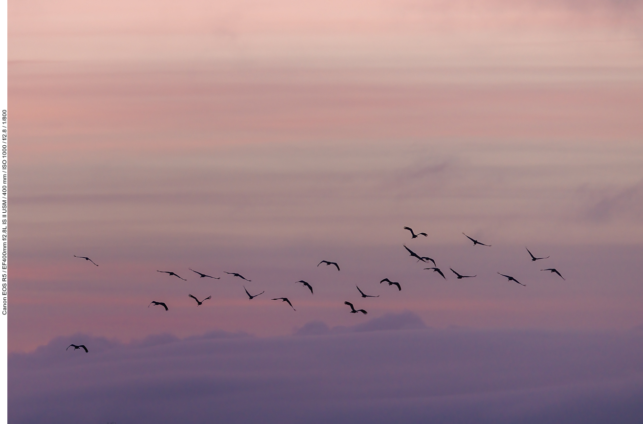 Wegflug