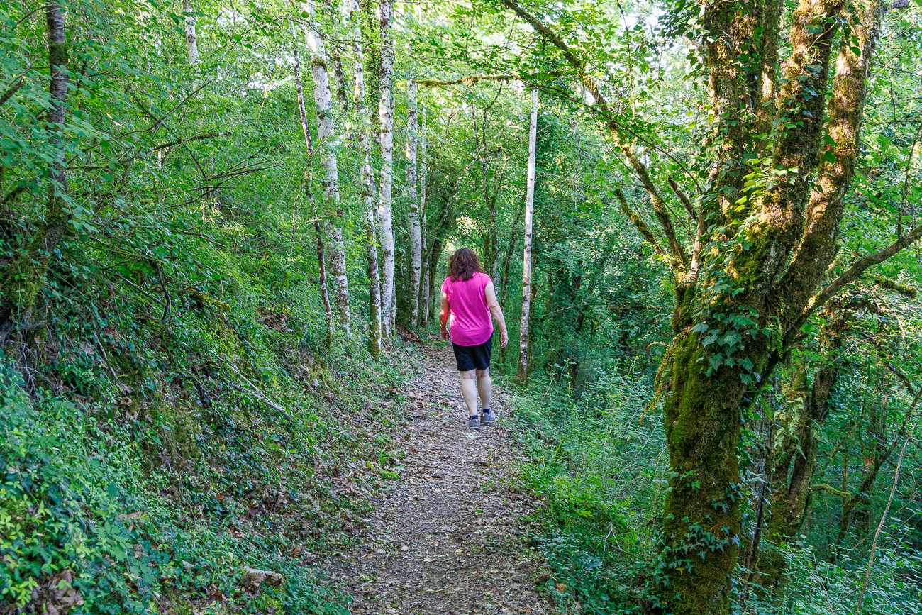Durch den schattigen Wald laufen wir zun&auml;chst bergab