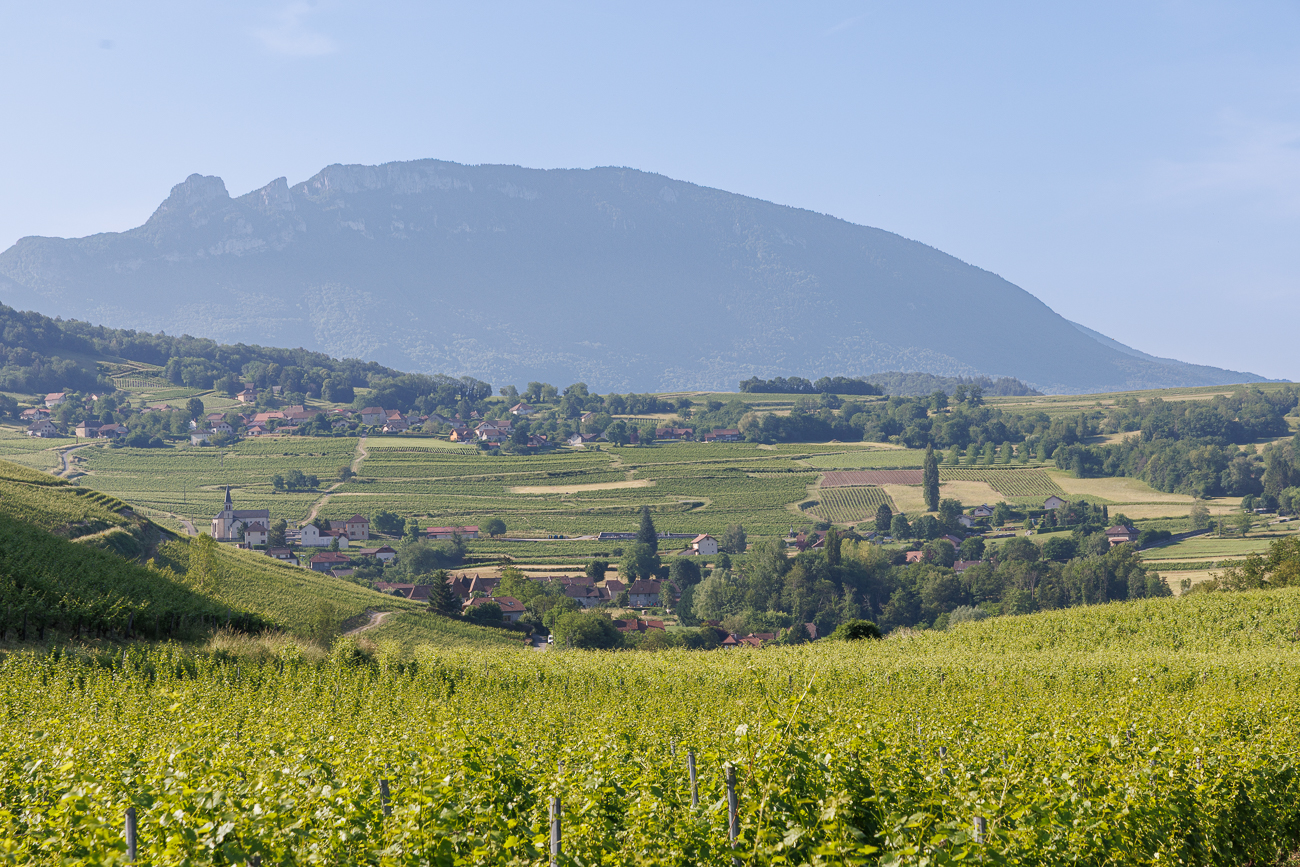 Blick auf Jongieux Le Haut