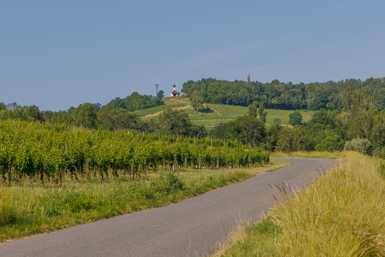 Chapelle de Saint Romain, Jongieux